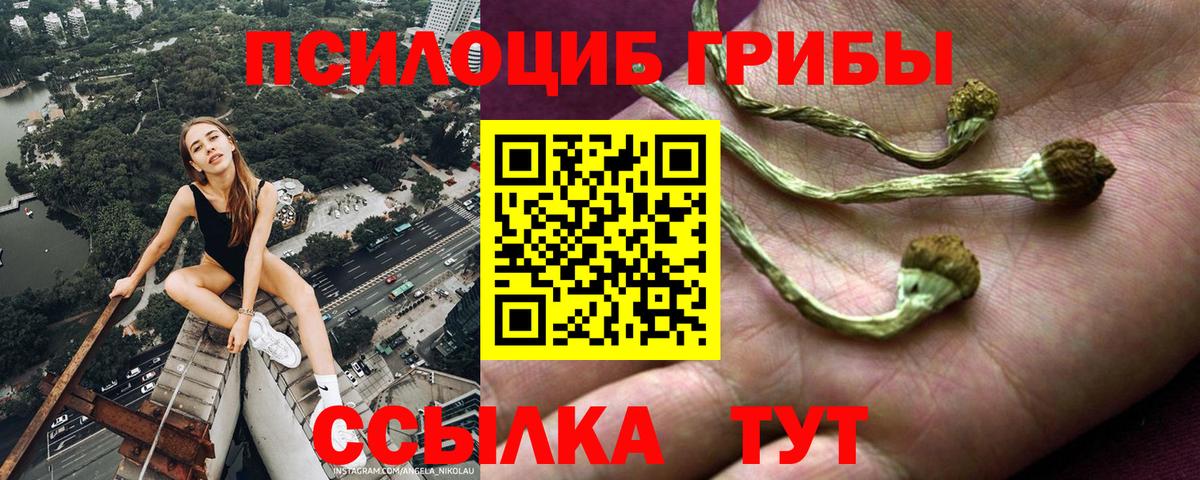 Псилоцибиновые грибы мицелий  Галлюциногенные грибы MAGIC MUSHROOMS  Донской  Вход с VPN 