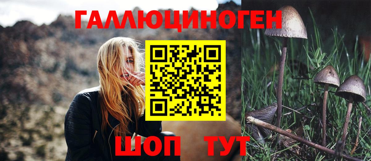 Галлюциногенные грибы MAGIC MUSHROOMS Донской